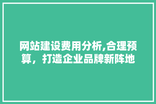 网站建设费用分析,合理预算，打造企业品牌新阵地