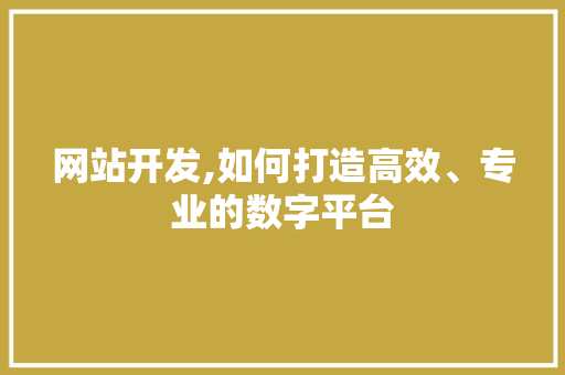 网站开发,如何打造高效、专业的数字平台