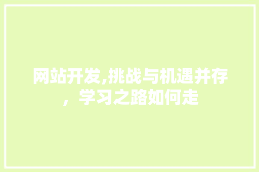 网站开发,挑战与机遇并存，学习之路如何走 SEO关键词
