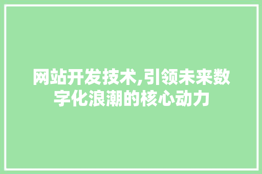 网站开发技术,引领未来数字化浪潮的核心动力