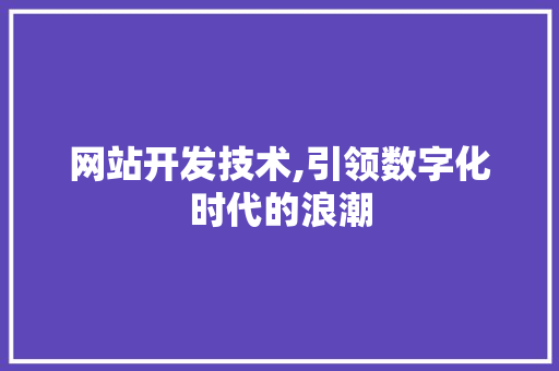 网站开发技术,引领数字化时代的浪潮