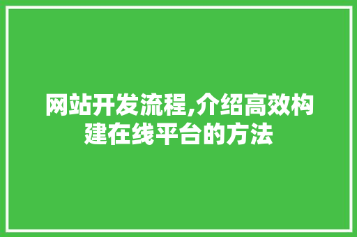 网站开发流程,介绍高效构建在线平台的方法 网站开发流程,介绍高效构建在线平台的方法 SEO关键词