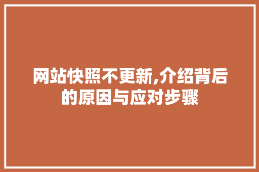 网站快照不更新,介绍背后的原因与应对步骤