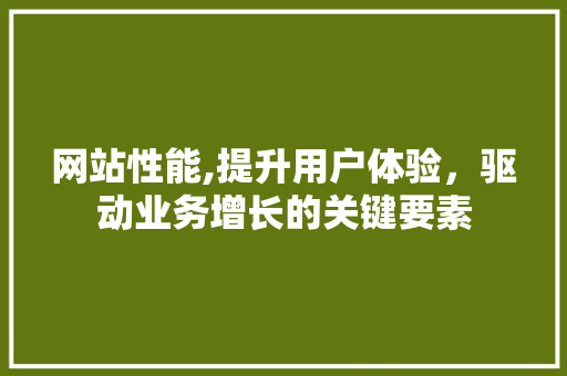 网站性能,提升用户体验，驱动业务增长的关键要素