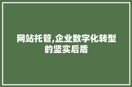 网站托管,企业数字化转型的坚实后盾 网站托管,企业数字化转型的坚实后盾 百度SEO