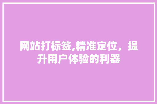 网站打标签,精准定位，提升用户体验的利器