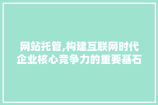 网站托管,构建互联网时代企业核心竞争力的重要基石 网站托管,构建互联网时代企业核心竞争力的重要基石 网站建设公司