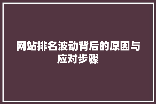网站排名波动背后的原因与应对步骤