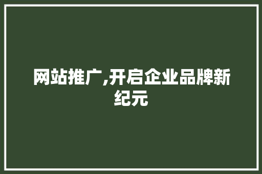 网站推广,开启企业品牌新纪元