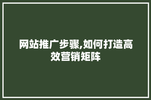 网站推广步骤,如何打造高效营销矩阵