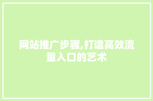 网站推广步骤,打造高效流量入口的艺术