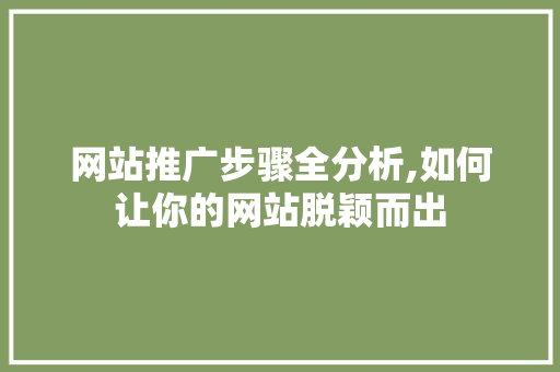 网站推广步骤全分析,如何让你的网站脱颖而出