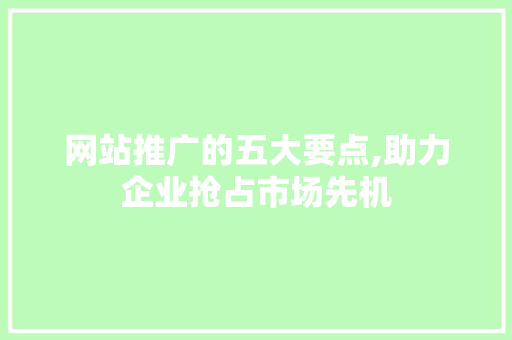 网站推广的五大要点,助力企业抢占市场先机