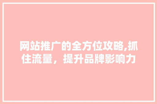 网站推广的全方位攻略,抓住流量，提升品牌影响力
