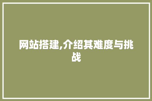 网站搭建,介绍其难度与挑战