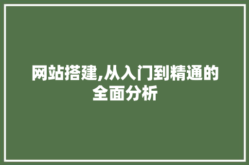 网站搭建,从入门到精通的全面分析 网站搭建,从入门到精通的全面分析 SEO关键词
