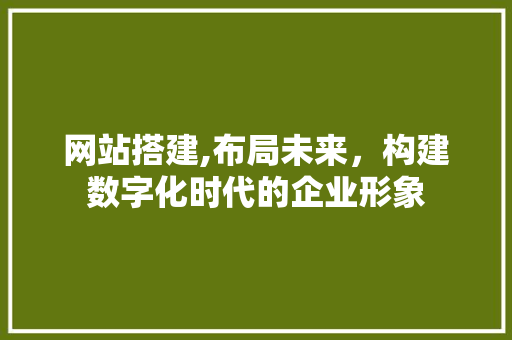 网站搭建,布局未来，构建数字化时代的企业形象