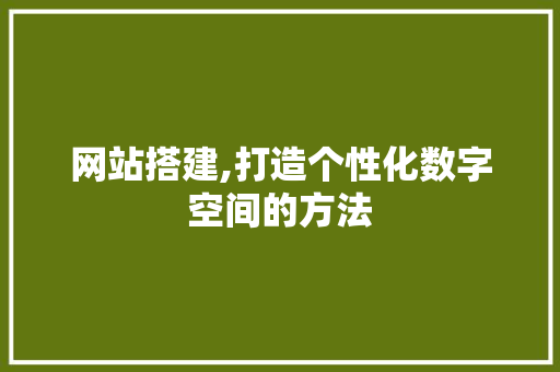 网站搭建,打造个性化数字空间的方法