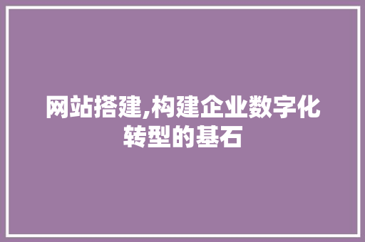 网站搭建,构建企业数字化转型的基石