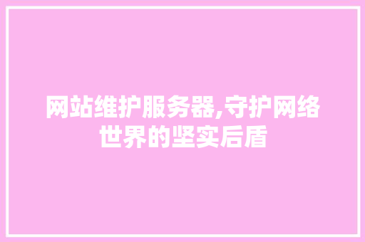 网站维护服务器,守护网络世界的坚实后盾
