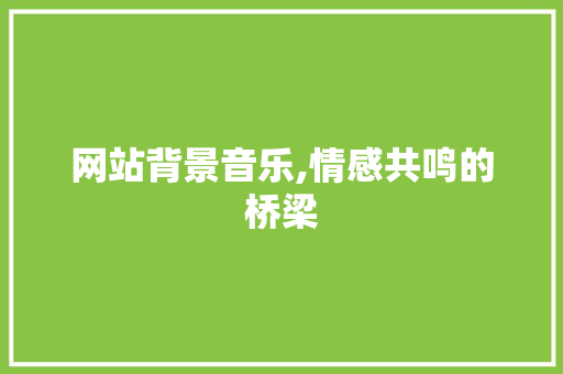 网站背景音乐,情感共鸣的桥梁 网站背景音乐,情感共鸣的桥梁 网站建设公司