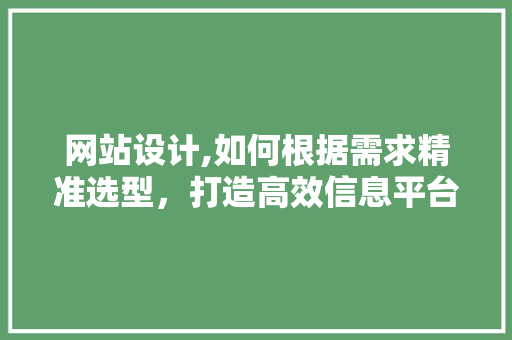 网站设计,如何根据需求精准选型，打造高效信息平台