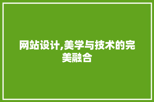 网站设计,美学与技术的完美融合