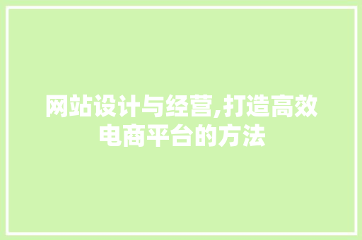 网站设计与经营,打造高效电商平台的方法