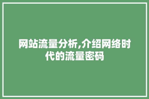网站流量分析,介绍网络时代的流量密码 网站流量分析,介绍网络时代的流量密码 SEO关键词