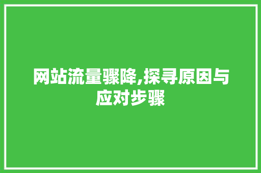 网站流量骤降,探寻原因与应对步骤 网站流量骤降,探寻原因与应对步骤 神马SEO