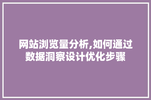 网站浏览量分析,如何通过数据洞察设计优化步骤
