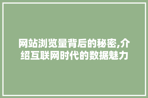 网站浏览量背后的秘密,介绍互联网时代的数据魅力