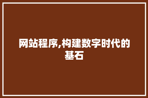 网站程序,构建数字时代的基石