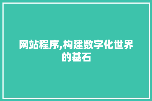 网站程序,构建数字化世界的基石