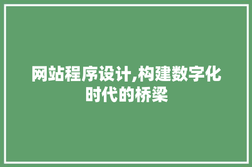 网站程序设计,构建数字化时代的桥梁 网站程序设计,构建数字化时代的桥梁 SEO关键词
