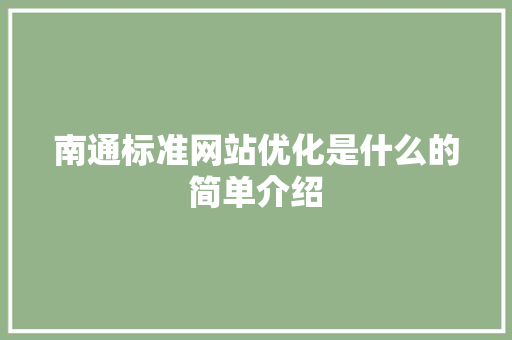 南通标准网站优化是什么的简单介绍