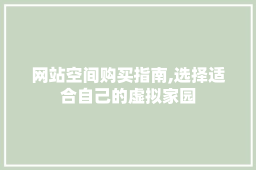 网站空间购买指南,选择适合自己的虚拟家园