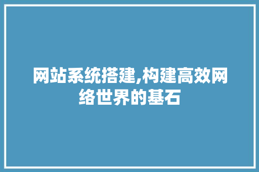 网站系统搭建,构建高效网络世界的基石