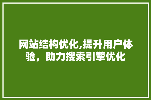 网站结构优化,提升用户体验，助力搜索引擎优化