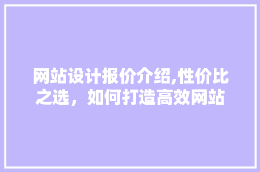 网站设计报价介绍,性价比之选，如何打造高效网站