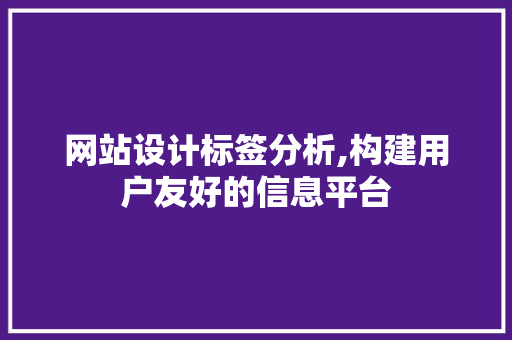 网站设计标签分析,构建用户友好的信息平台