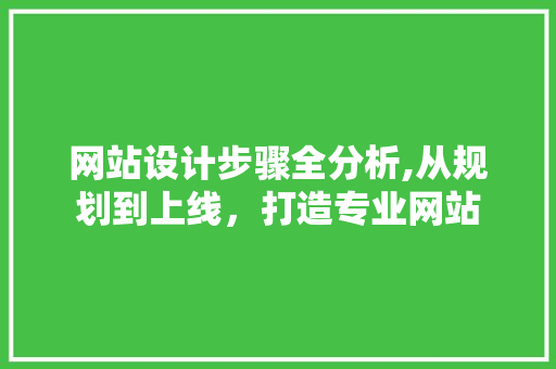 网站设计步骤全分析,从规划到上线，打造专业网站