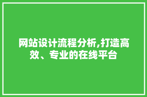 网站设计流程分析,打造高效、专业的在线平台 网站设计流程分析,打造高效、专业的在线平台 神马SEO