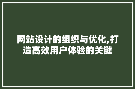 网站设计的组织与优化,打造高效用户体验的关键