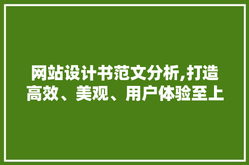 网站设计书范文分析,打造高效、美观、用户体验至上的网站