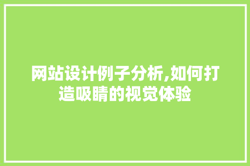 网站设计例子分析,如何打造吸睛的视觉体验