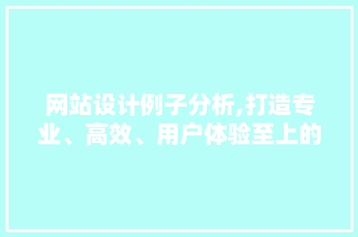 网站设计例子分析,打造专业、高效、用户体验至上的在线平台