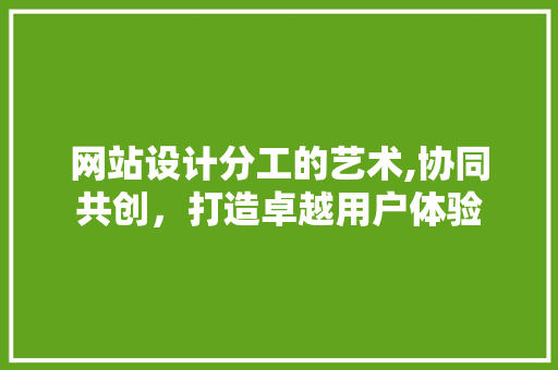网站设计分工的艺术,协同共创，打造卓越用户体验