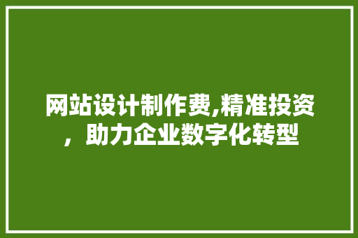 网站设计制作费,精准投资，助力企业数字化转型 网站设计制作费,精准投资，助力企业数字化转型 神马SEO