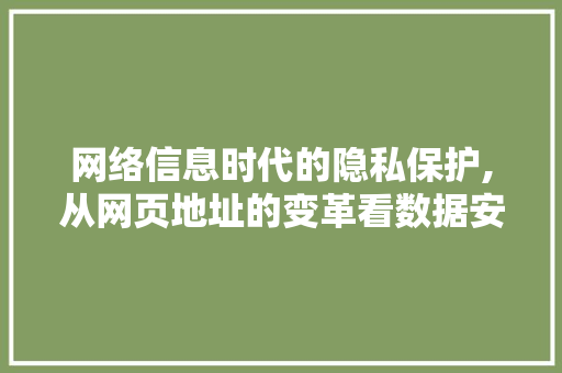 网络信息时代的隐私保护,从网页地址的变革看数据安全新篇章 网络信息时代的隐私保护,从网页地址的变革看数据安全新篇章 搜狗SEO